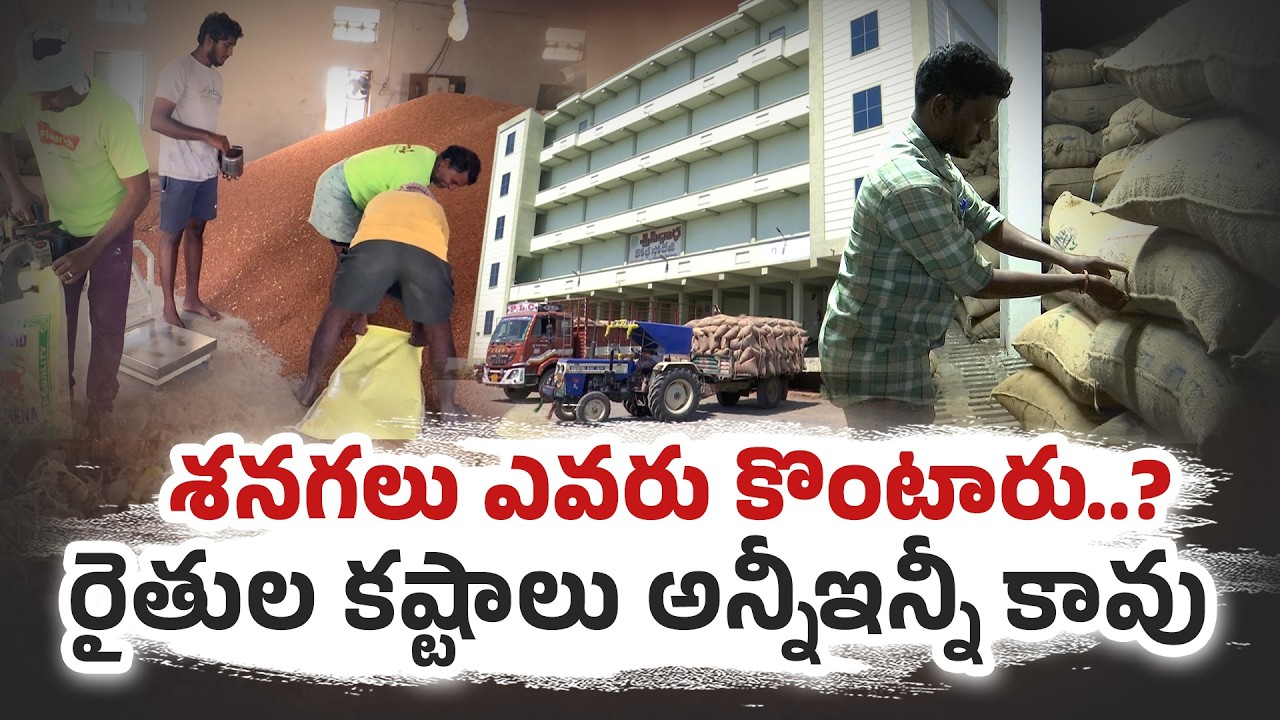 Bengal Gram Farmers in Crisis | No Market, No Price, Huge Losses in Andhra Pradesh || Idi Sangathi