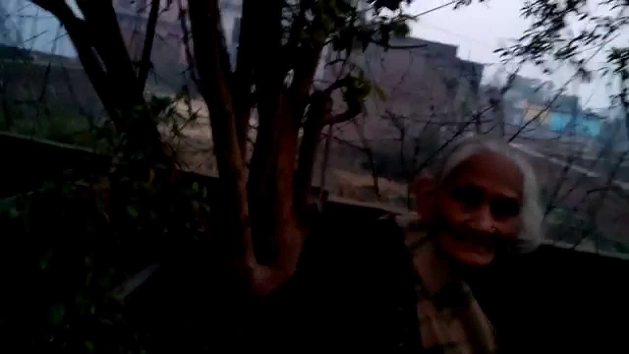 brave old woman stunts
