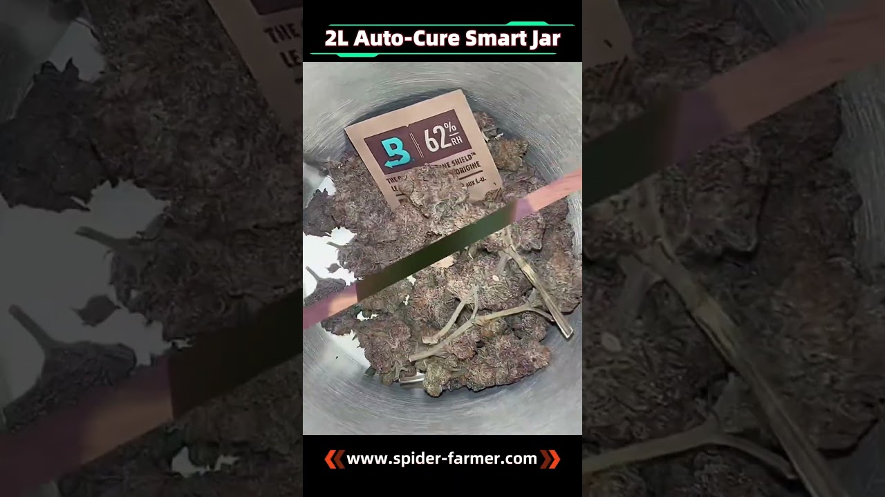 Spider Farmer Auto-Cure Smart Jar | Keep Herbs Fresh Effortlessly 🌿