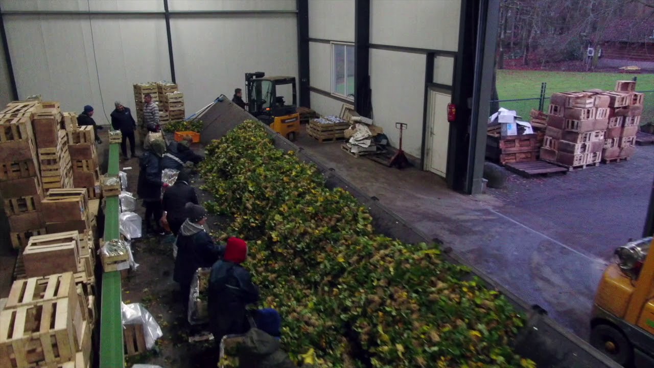 Cox Aardbeien b.v. - Kerstgroet