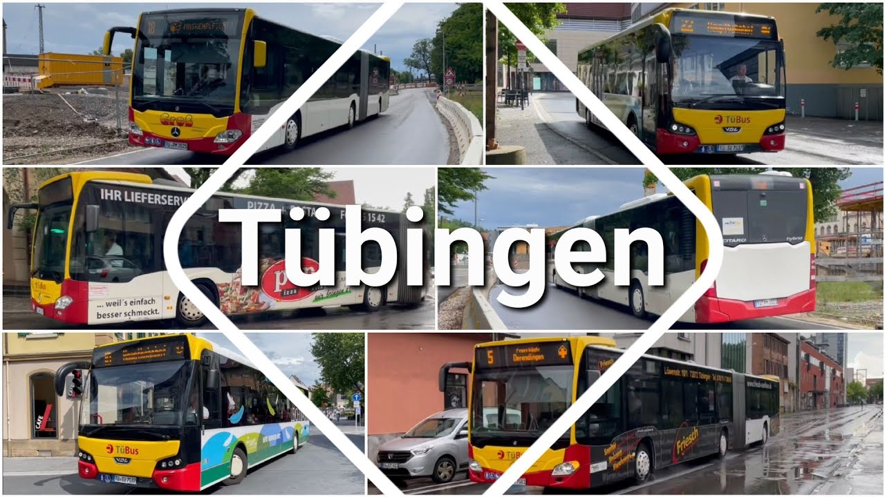 Tübinger Busse | #6