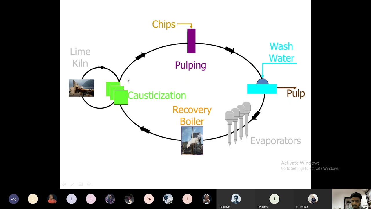 4.2) CT-II: Kraft or Sulfate Pulp Production, Chemicals Recovery from Black Liquor