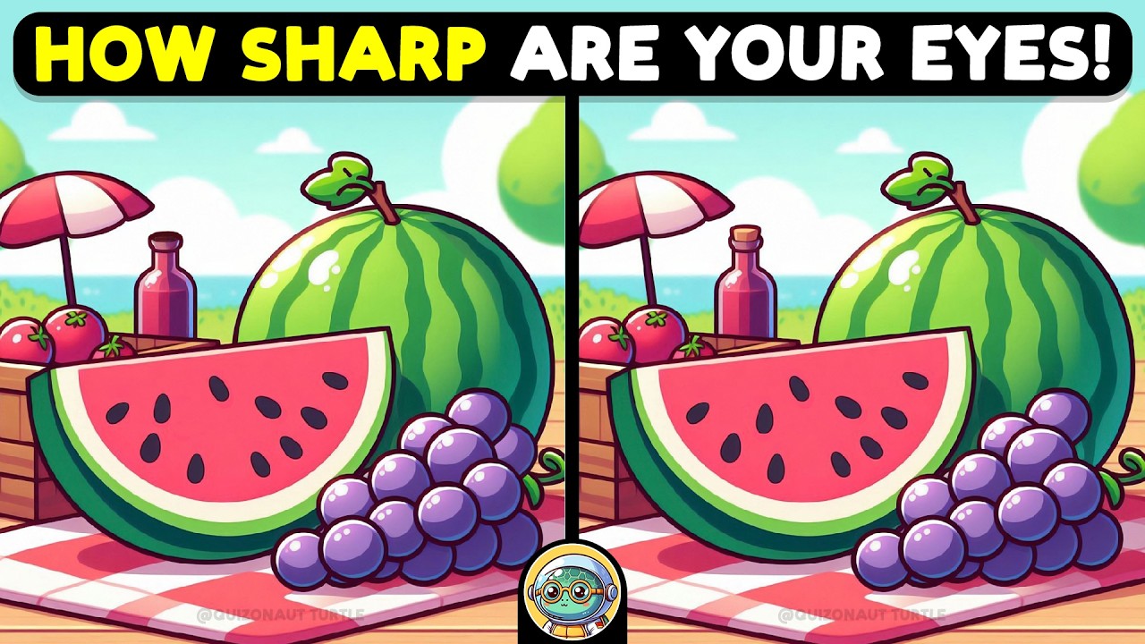 🐢🧩 Spot 3 Differences | The Ultimate Puzzle Hunt 🧩🐢