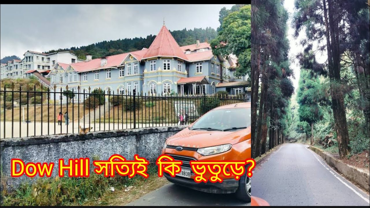 Dow hill | কাশিয়াং এর ভুতুড়ে ডাওহিল | সত্যি কি ভুতুড়ে? | Kolkata to Downhill drive by car 