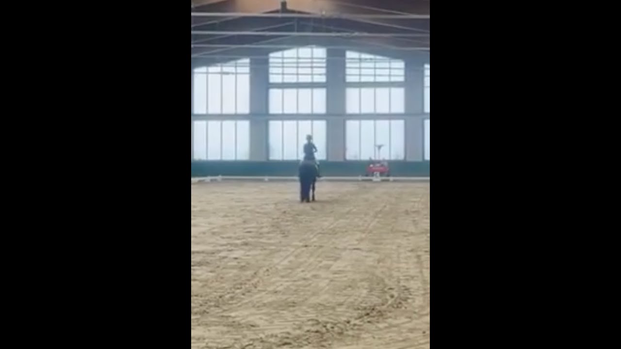 Alicja Florczak COEDNEWYDD PEPSI Salio 2026 #ujeżdżenie #dressage #pony