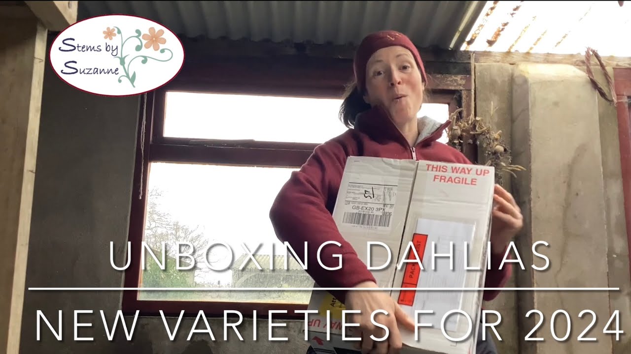 Unboxing New Dahlia Varieties for 2024// Stems by Suzanne Cut Flower Farm 🌸