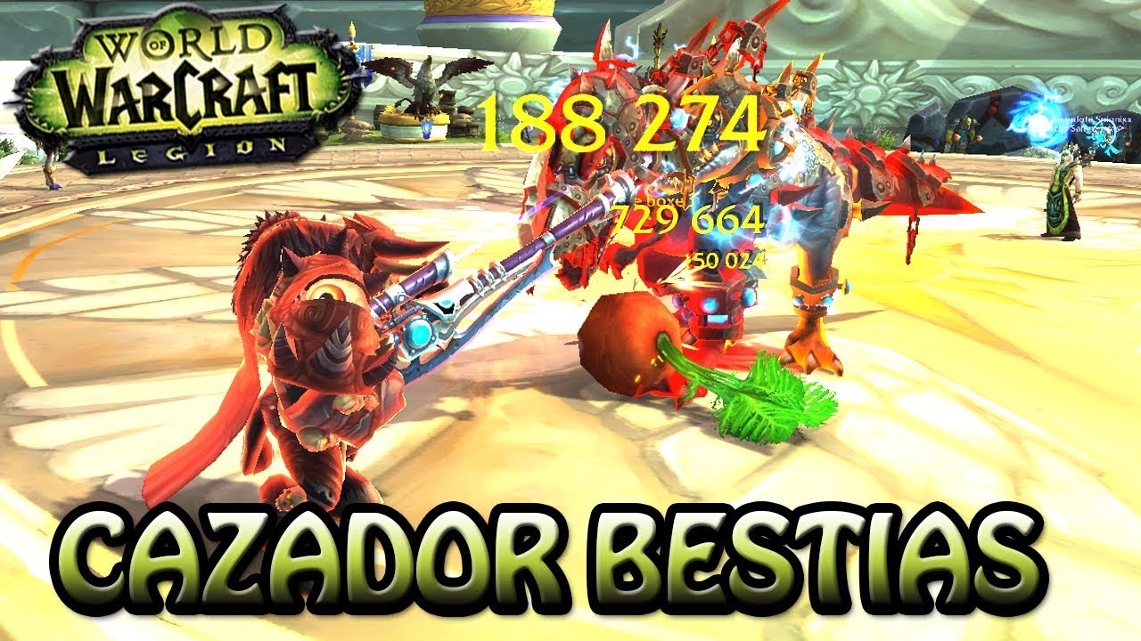 LOS PROBLEMAS DE UN CAZADOR BESTIAS EN PVP | WOW LEGIÓN