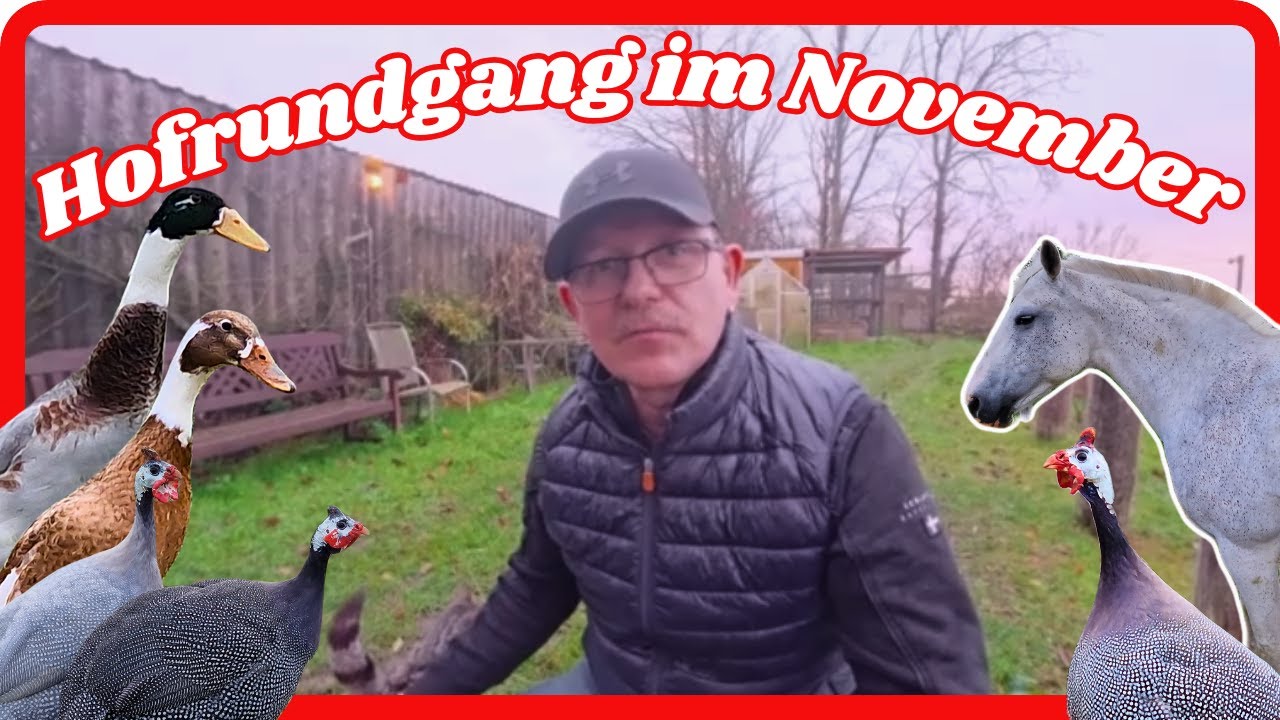 Hofrundgang im November ! Kein Regenbogen ohne Regen !  Ein Spaziergang über meinen kleinen Hof