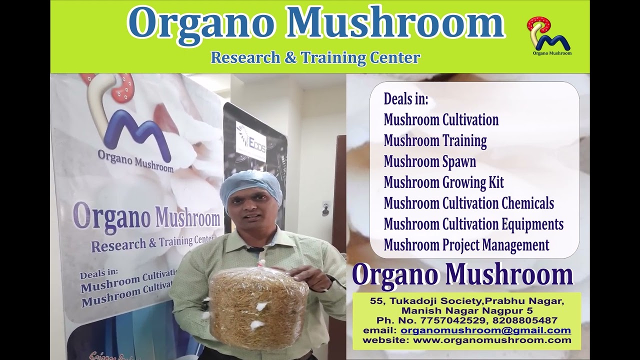 Mushroom Cultivation Training at Nagpur