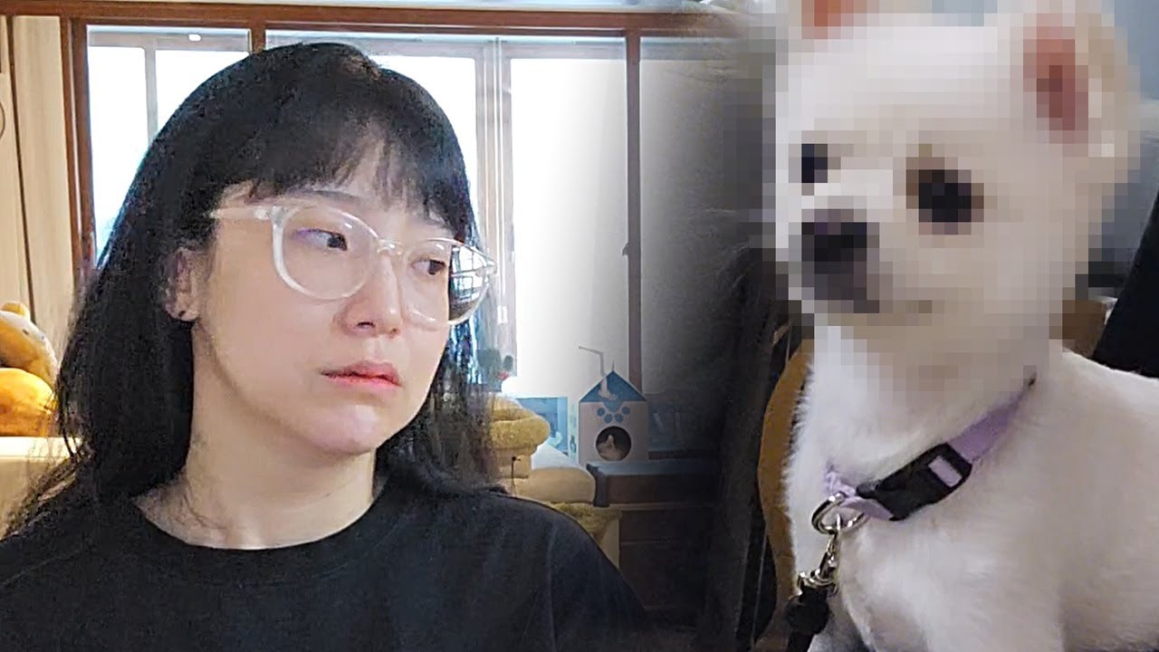 강아지를 돌려달라네요...