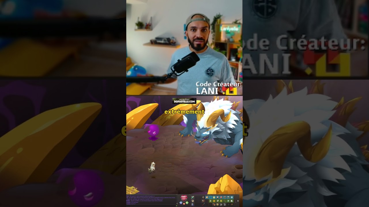 JAI DE NOUVEAU LE FULL DOFUS