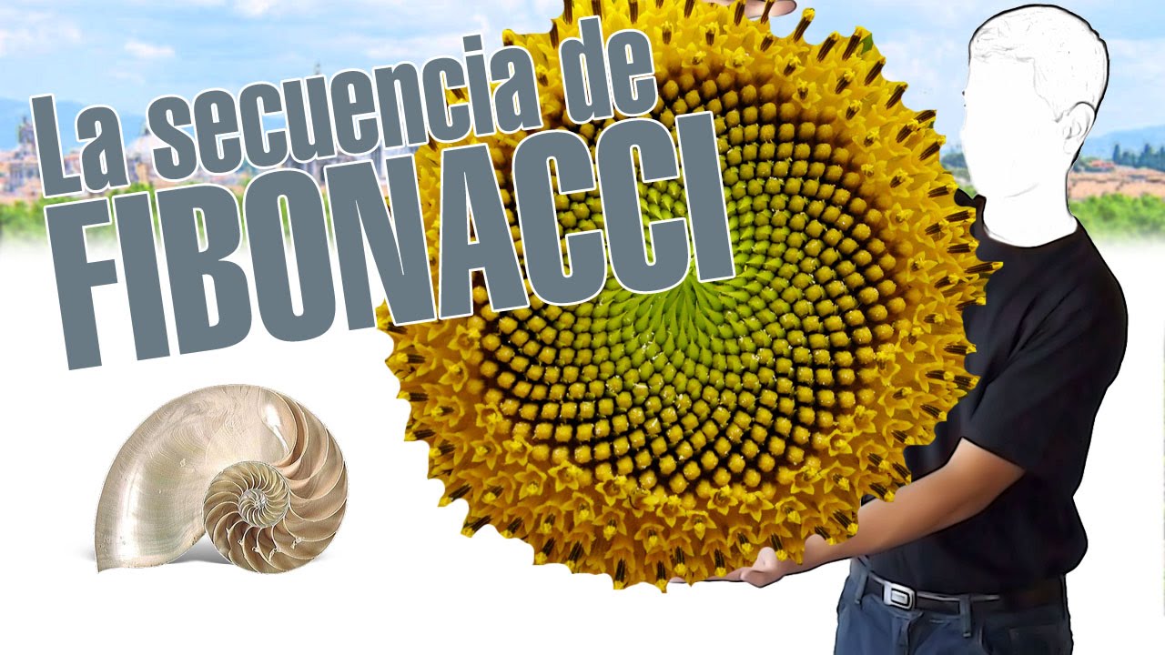 La secuencia de Fibonacci, en 3 minutos. Por explainers tv