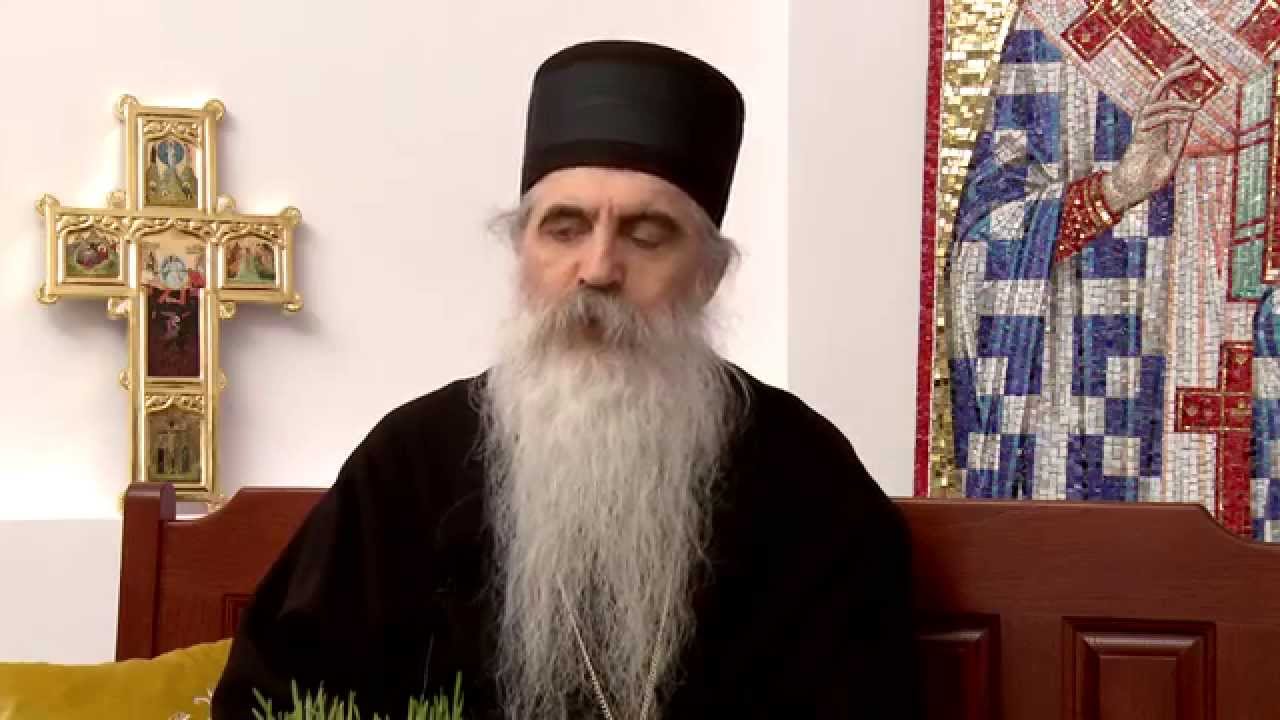 Bozicni intervju Episkop backi Irinej