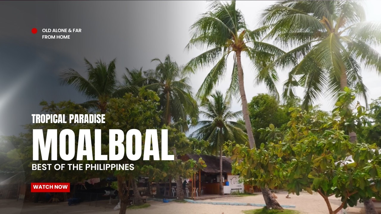 Moalboal: A Piece of Paradise in The Philippines