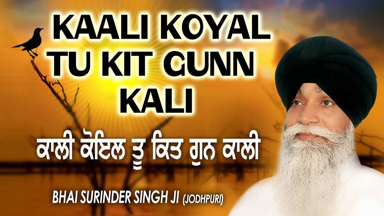 KAALI KOYAL TU KIT GUNN KALI | BHAI SURINDER SINGH (JODHPURI) | SHABAD GURBANI
