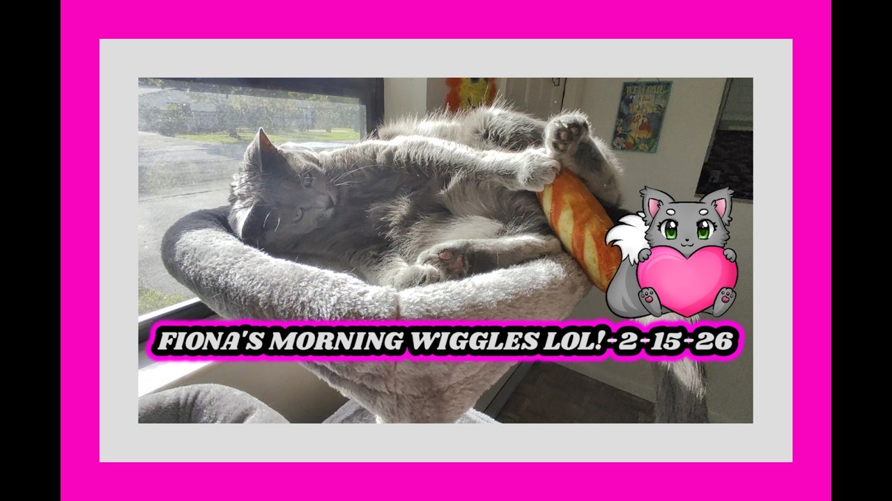 FIONA'S MORNING WIGGLES LOL!-2-15-26