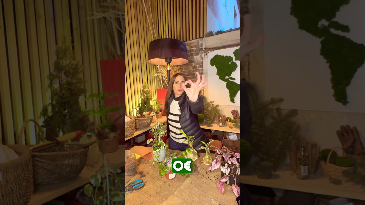 Avoir des plantes GRATUITES Livre &laquo;&nbsp;comment avoir des plantes gratuites chez soi ?&nbsp;&raquo;  ed Ulmer