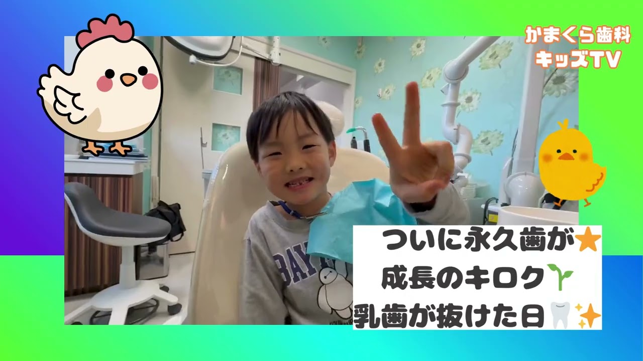 ［かまくらキッズ］ついに永久歯が✨成長のキロク🌱乳歯が抜けた日🦷