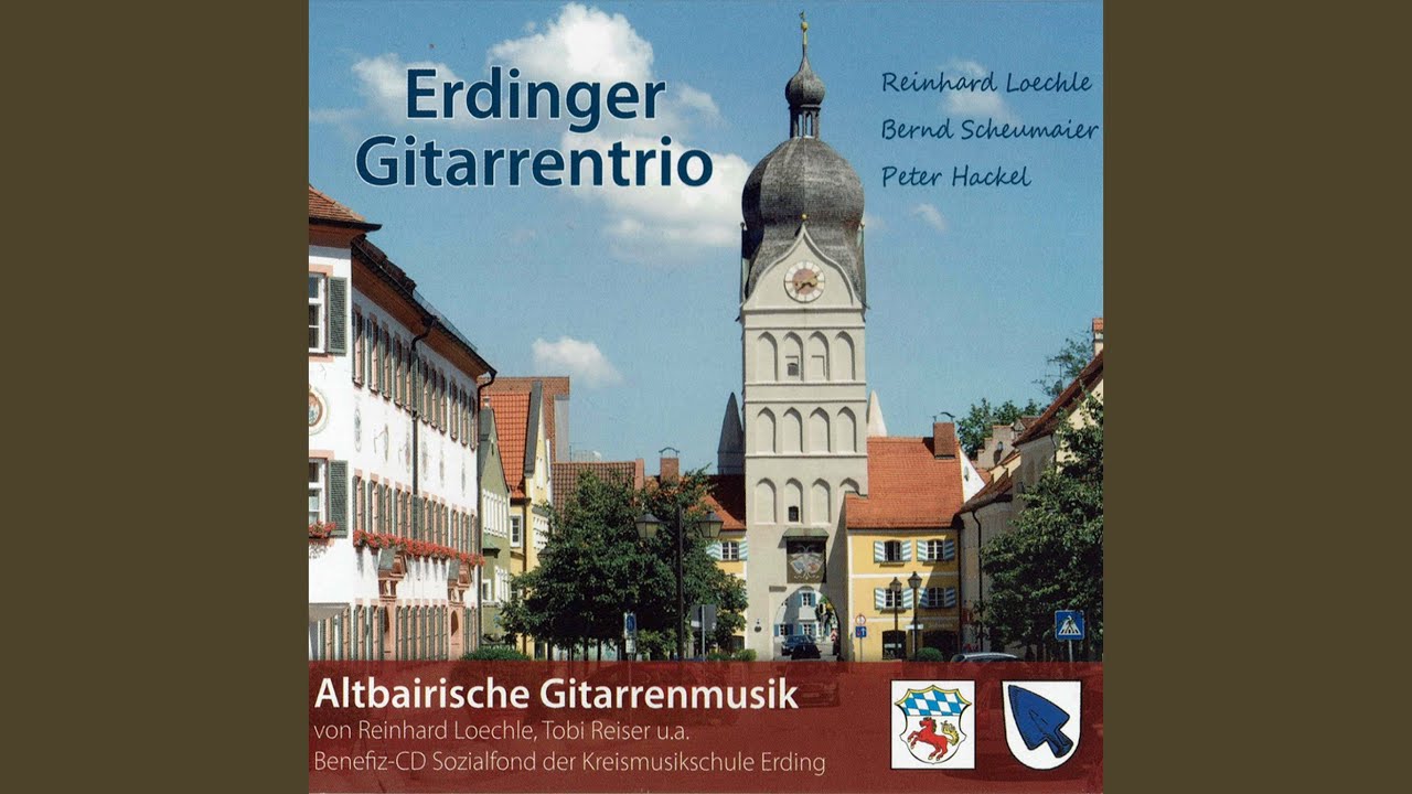 Gitarrenboarischer