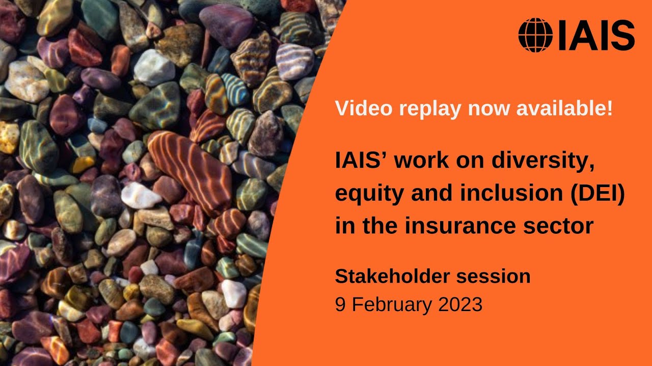 Stakeholder session on the IAIS' work on diversity, equity and inclusion DEI in the insurance indust