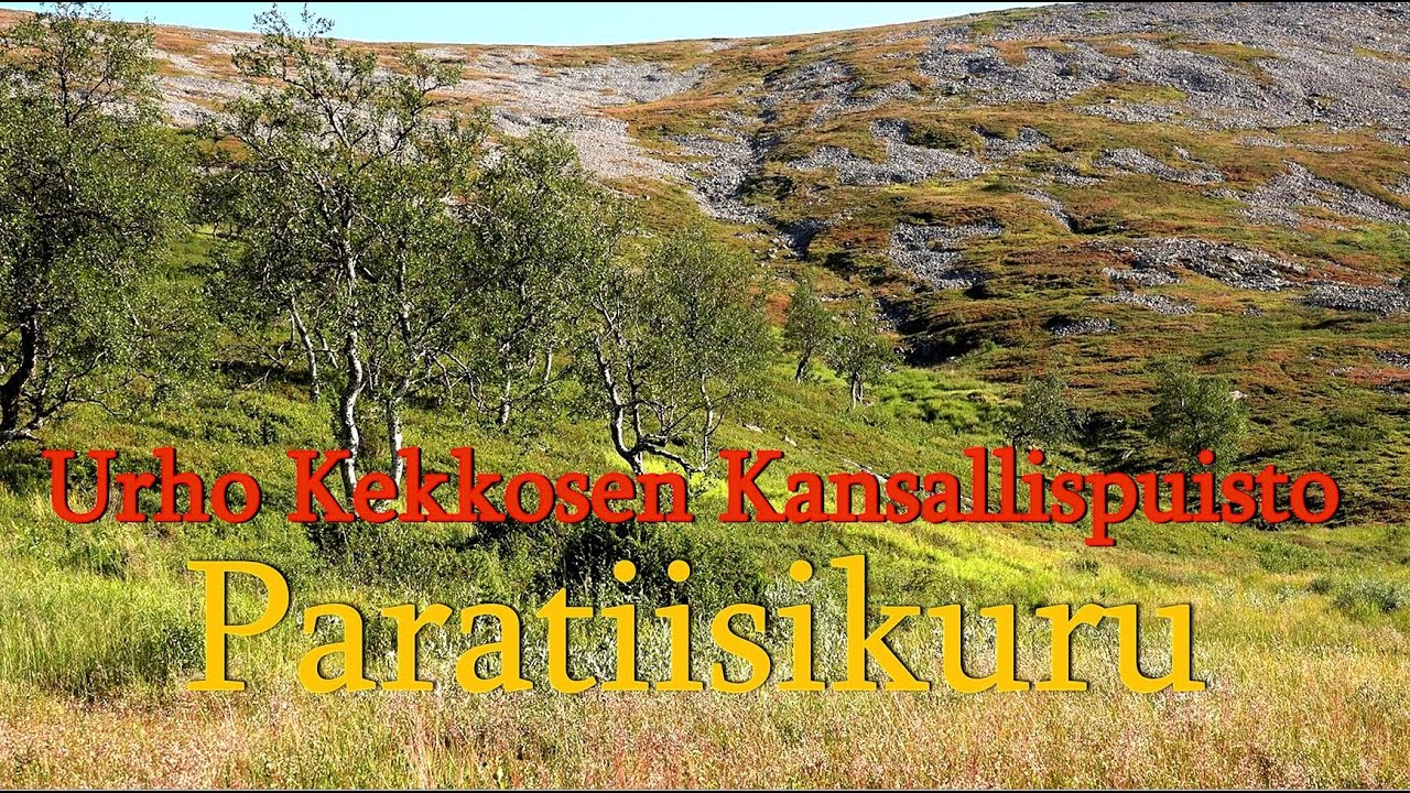Paratiisikuru Saariselk&auml; Urho Kekkosen Kansallispuisto Lapin tuntureilla