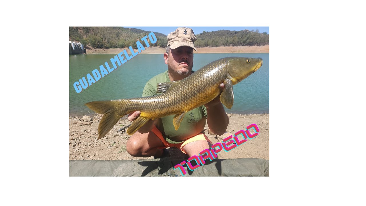 BUSCANDO BARBOS EN VERANO CON TEMPERATURAS EXTREMAS