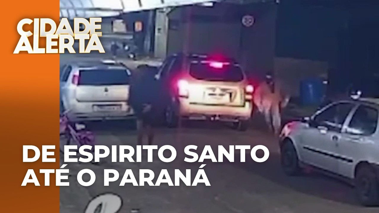 Foragido do Espirito Santo é preso em Cambé; policiais do PR e ES trabalharam juntas