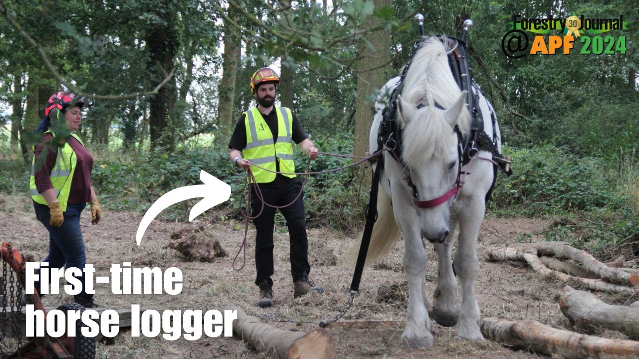 I'd never handled a horse. Until I tried horse logging for the first time.
