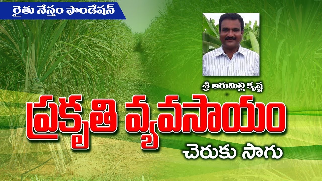 Success story of Sugarcane Farmer Krishna (Natural farming)