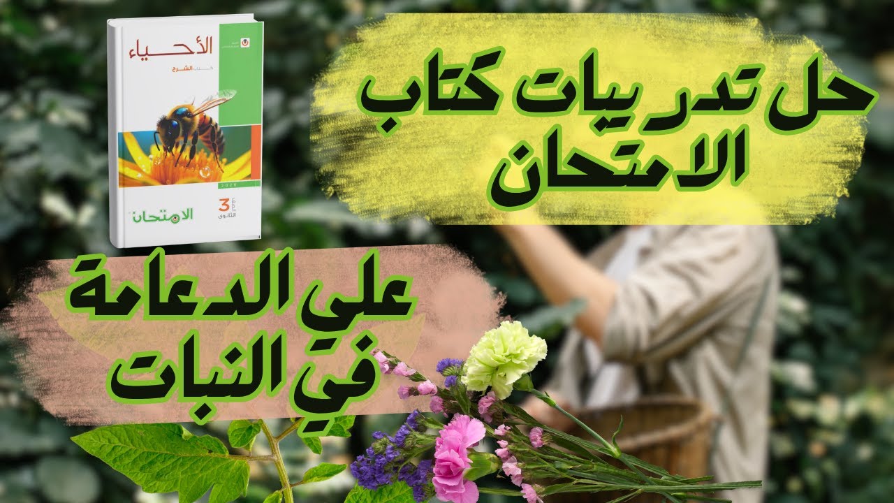 حل تدريبات كتاب الامتحان 2026 على الدعامة في النبات 🌱 كااااامل 🔥 - مايفوتكش 👌🏻👌🏻