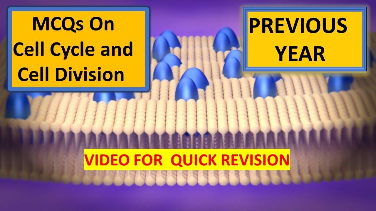 MCQs on CELL CYCLE AND CELL DIVISION | Previous Year Questions | For Neet |