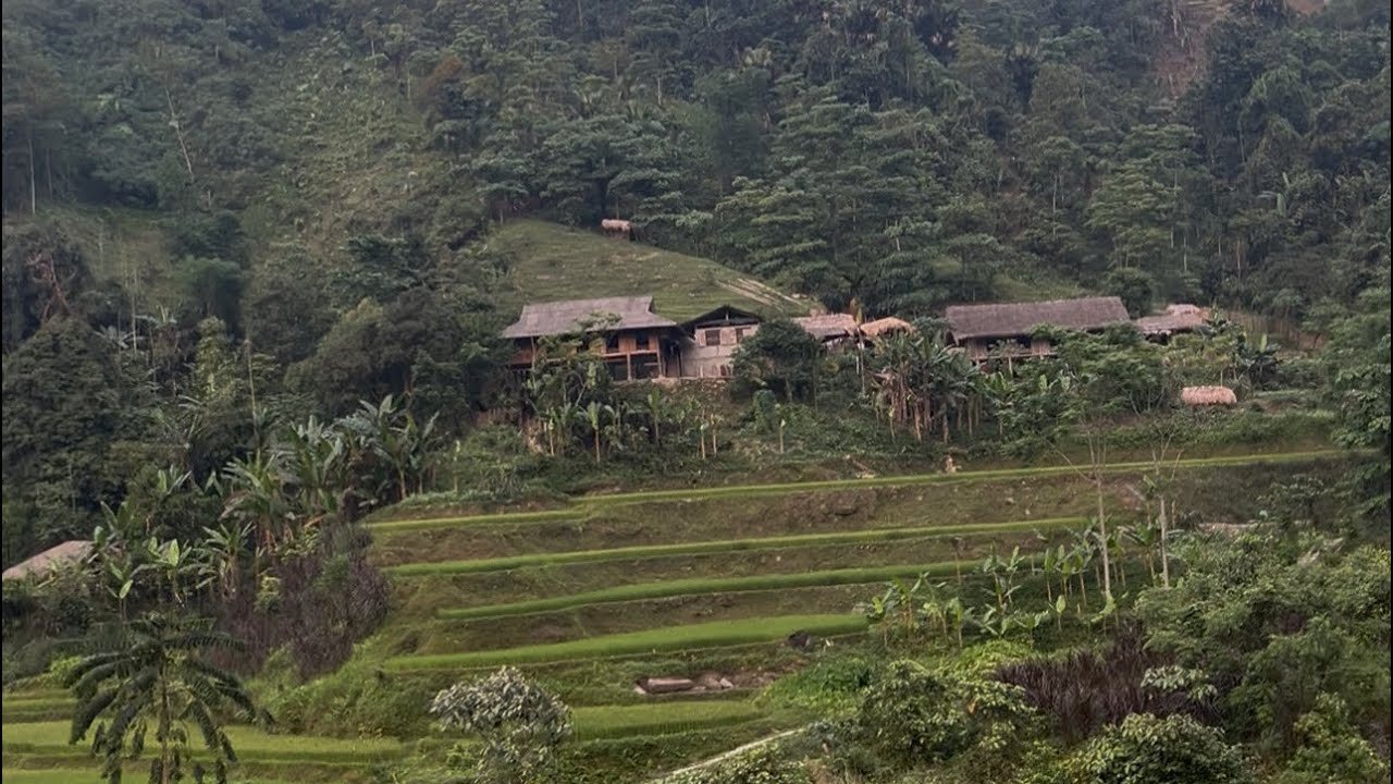 Vùng cao và những cánh rừng, đồng ruộng bậc thang
