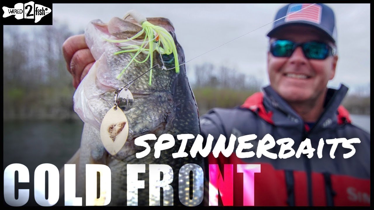 How Spinnerbaits Excel for Springtime Cold Front Bass