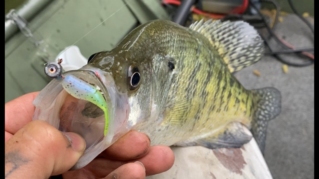 Do THIS To Your Soft Plastic Tails To SAVE