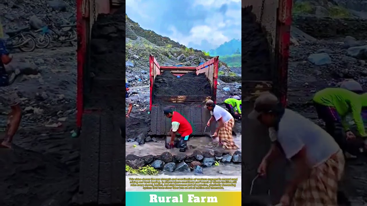 Insane Sand Loading No Excavator, Just Pure Hard Work: Manual Sand Mining & Truck Loading