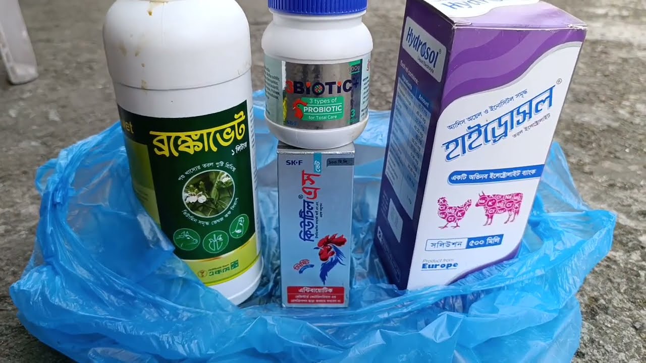 রেসার কবুতরের সুস্থতার জন্য প্রোবায়োটিক 🙂