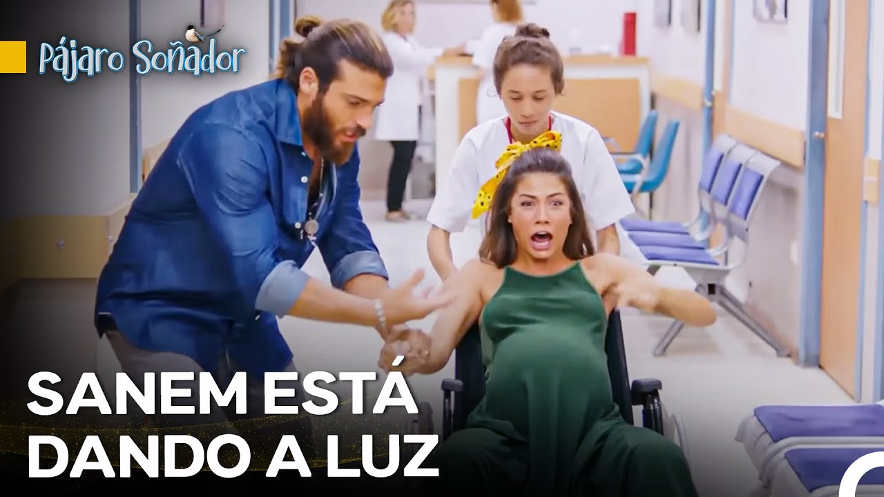Tuve Un Hijo Del Que Dije Que No Era Para Mí - Pájaro Soñador