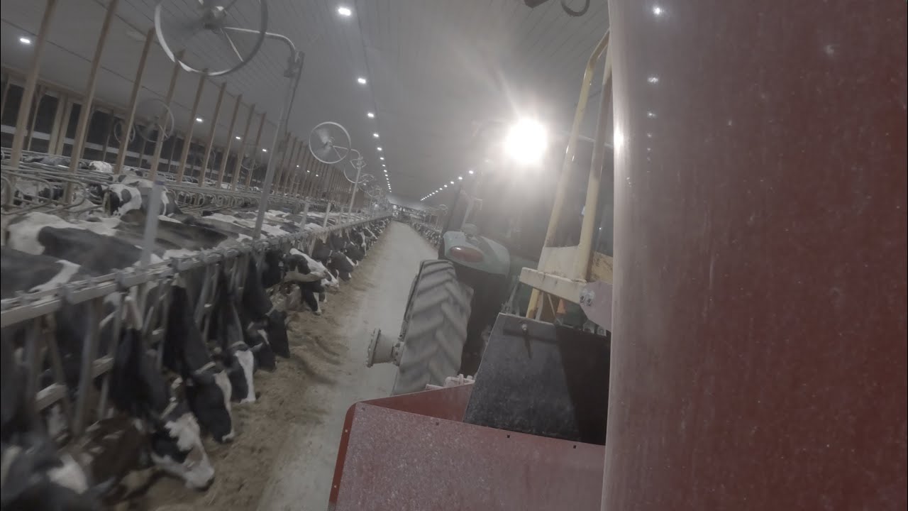 Feeding Cows with some new to us technology