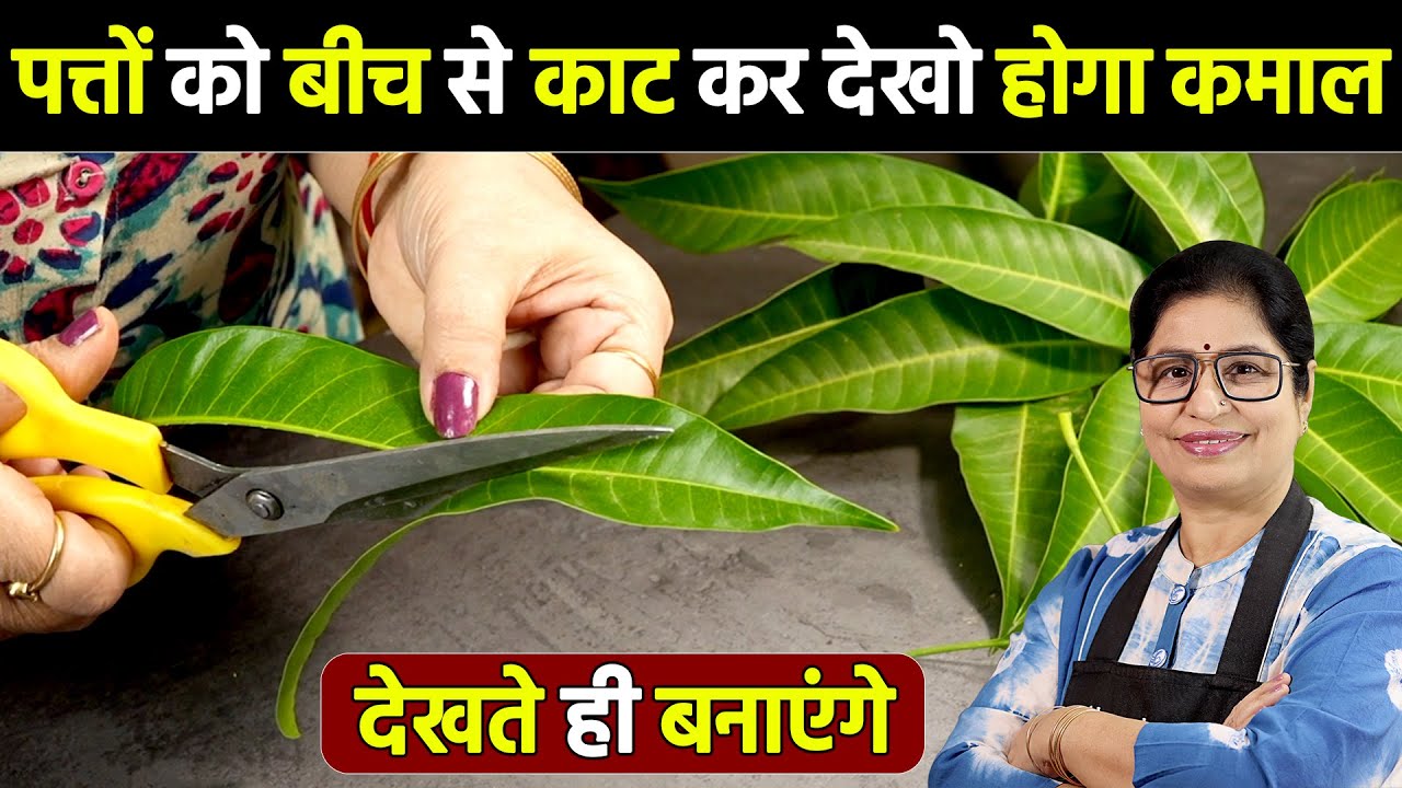 Without needle and thread, I made Toran in a very unique way, in just 5 minutes | Bandhanwar Maki...