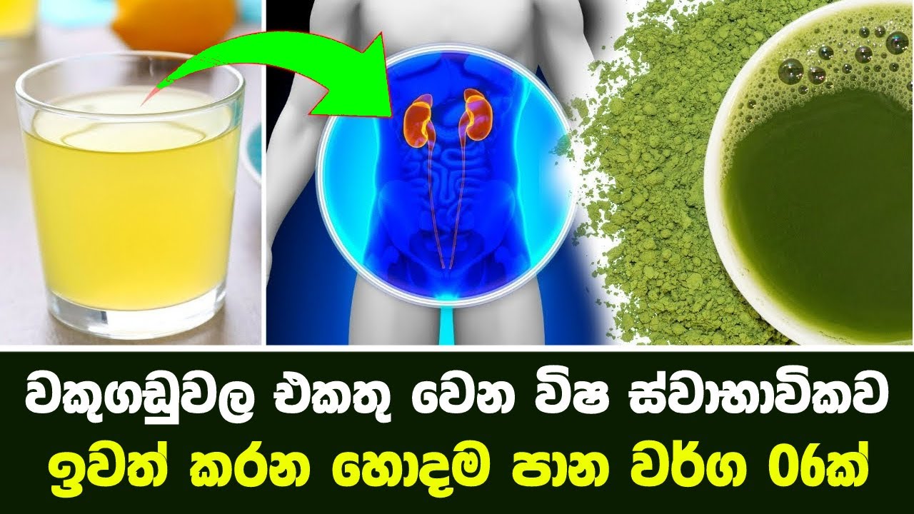 වකුගඩුවල එකතු වෙන විෂ ස්වාභාවිකව ඉවත් කරන පාන වර්ග 06ක් | 6 Drinks to Clean Your Kidneys Naturally