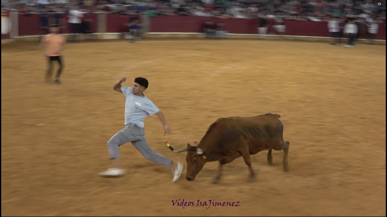 Zaragoza – Mañana vaquillera 13/10/2025 – Nº203/Guapa – 