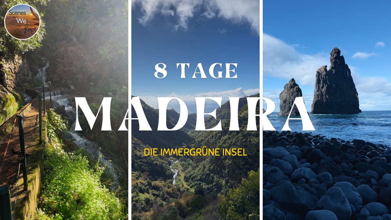MADEIRA über Silvester 🌴 Delfine, Levadas & Feuerwerk 🎆