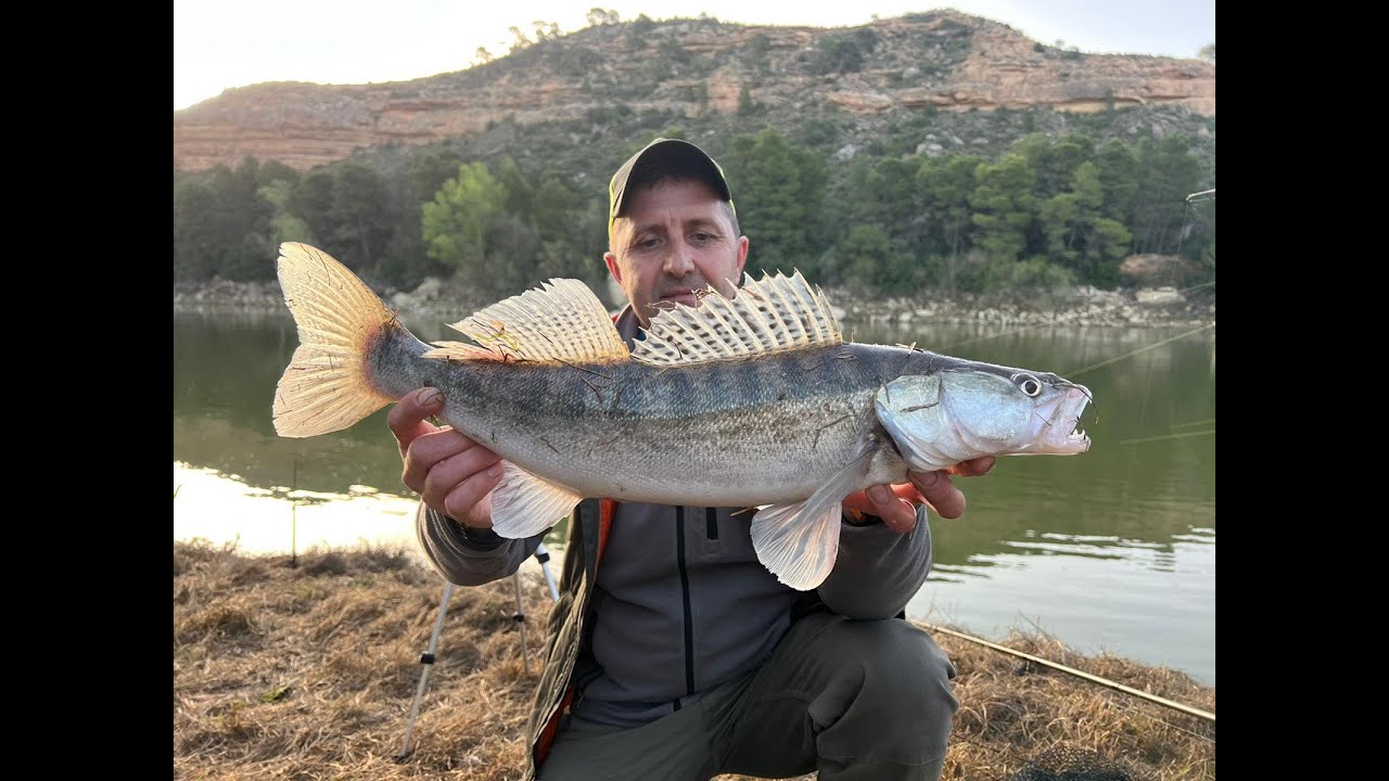Mezalocha 👀in cautarea stiuci si 🐟salaului