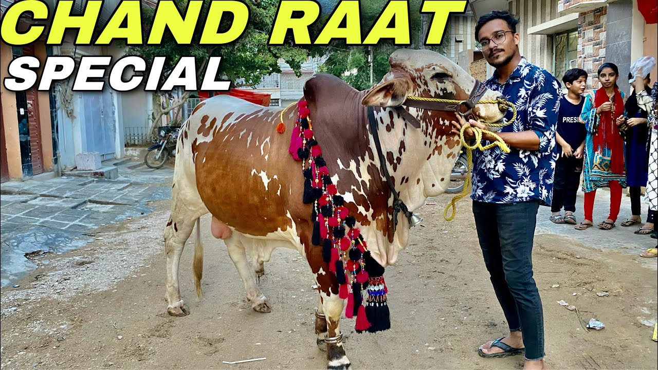 Chand Raat Special | Bakra Eid 2022 😩😩