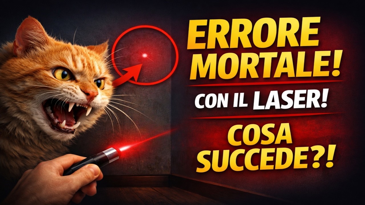 Fai QUESTO ERRORE MORTALE con il Laser? 🙀 Ecco perché il tuo gatto potrebbe impazzire