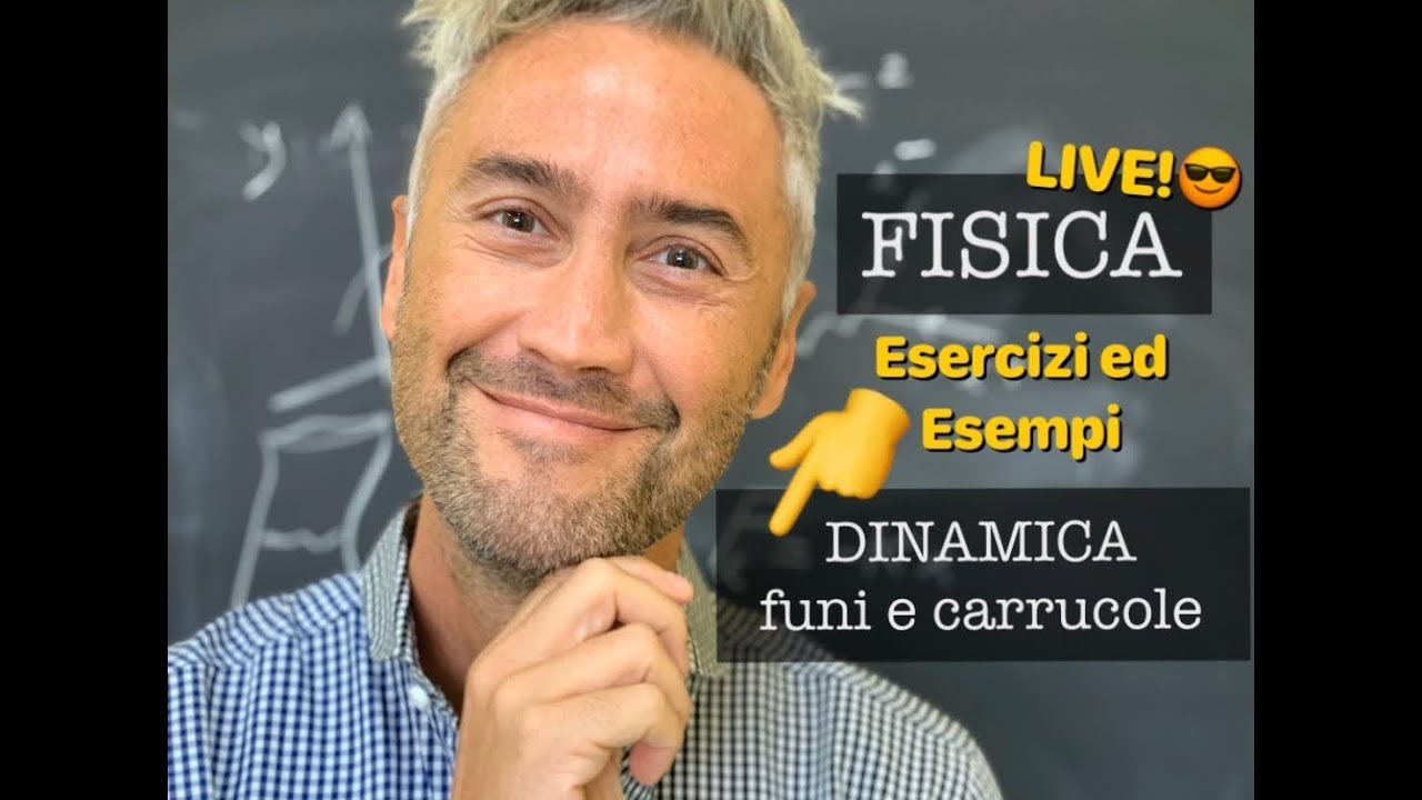 DINAMICA FISICA, fisica dinamica, principi della dinamica, carrucola fisica, fisica 1￼￼￼