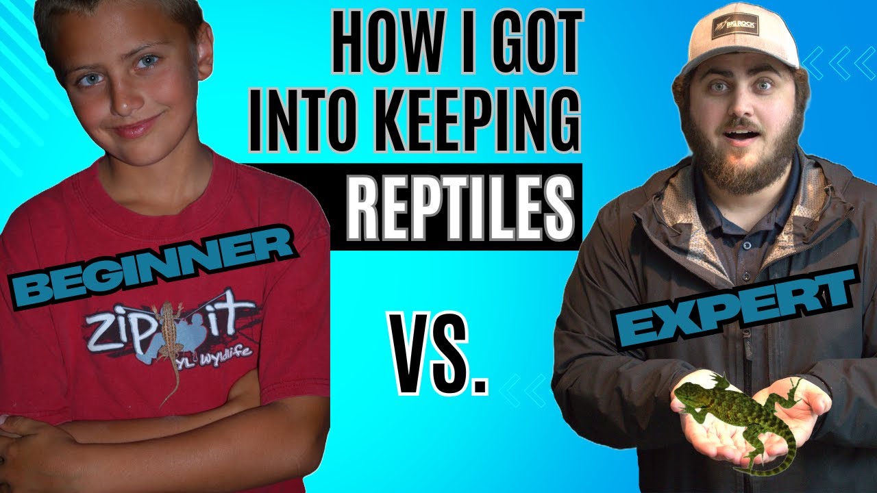 Why I Love Reptiles - My Story & How It All Began