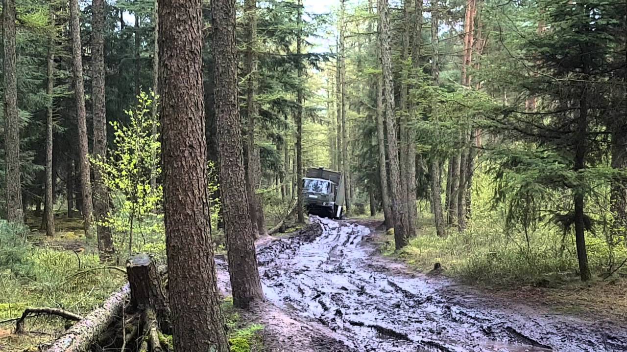 DAF Leyland T244 im Fursten Forest