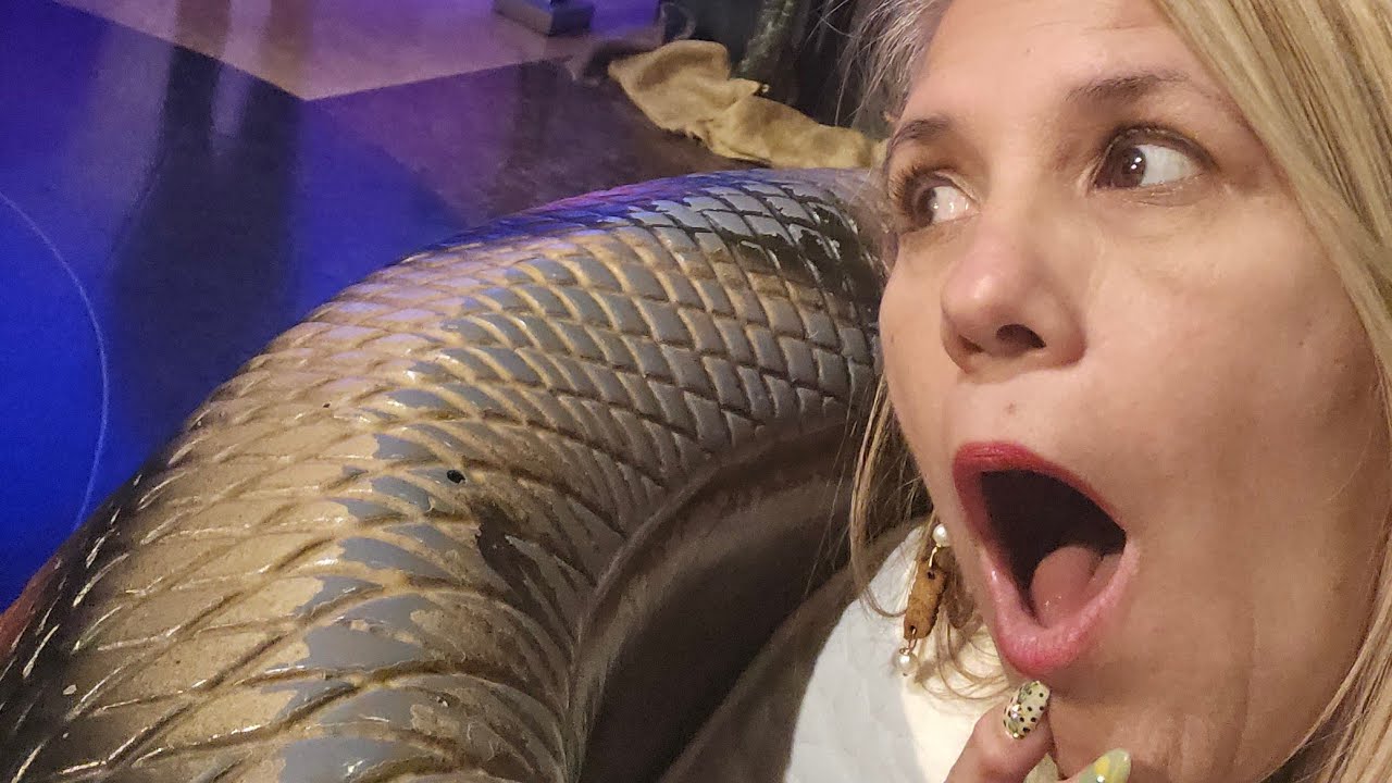 Posturas beneficiosas 50 o mas #health #subscribe