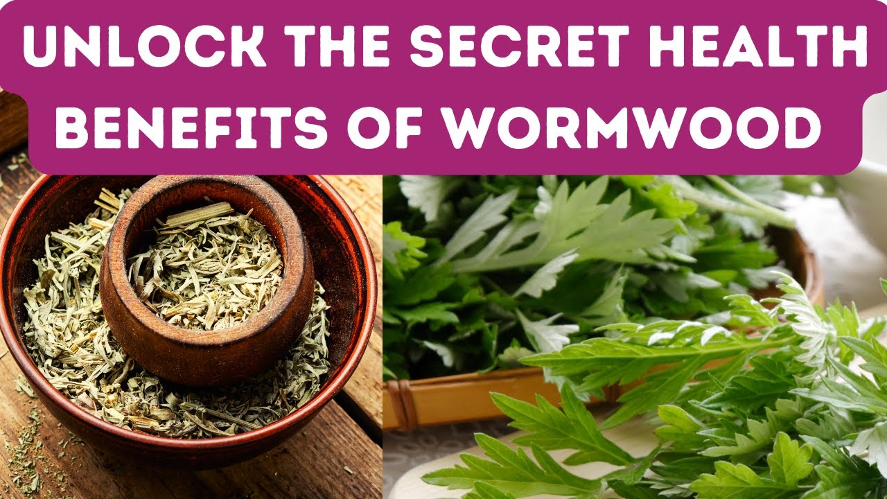 11 BENEFITS OF WORMWOOD - From Inflammation to Improved Digestion: Wormwood Does It All